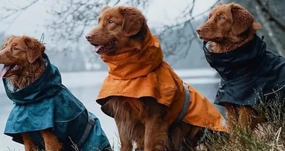 Functional and Stylish Rain Gear